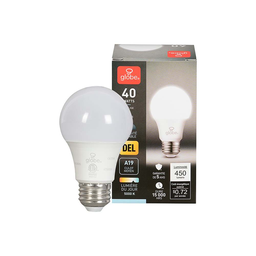 Ampoule DEL A19, 6 W