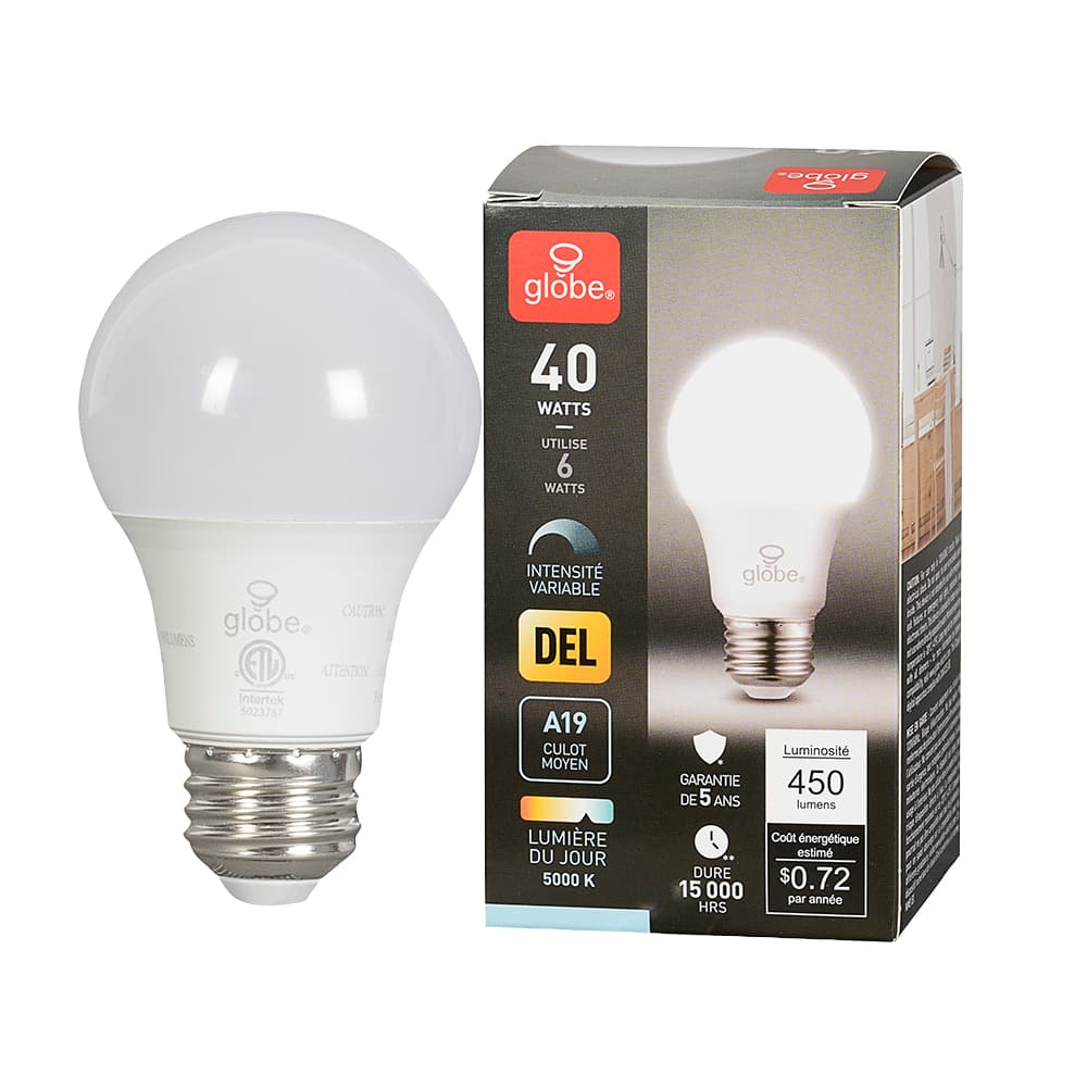 Ampoule DEL A19 à culot moyen lumière du jour 6 W