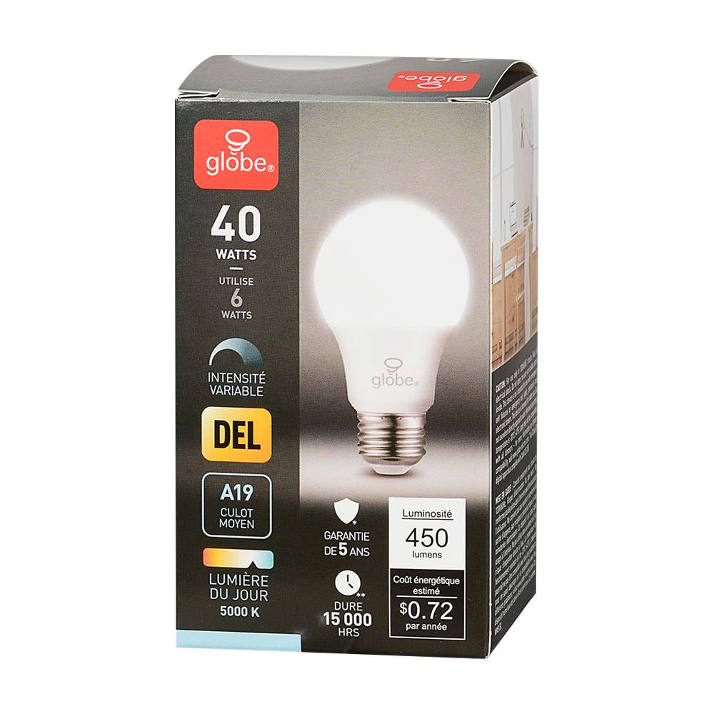 Ampoule DEL A19 à culot moyen lumière du jour 6 W