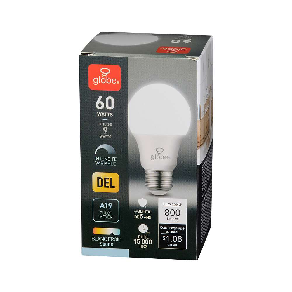 A19 Daylight LED Light Bulb 9 W