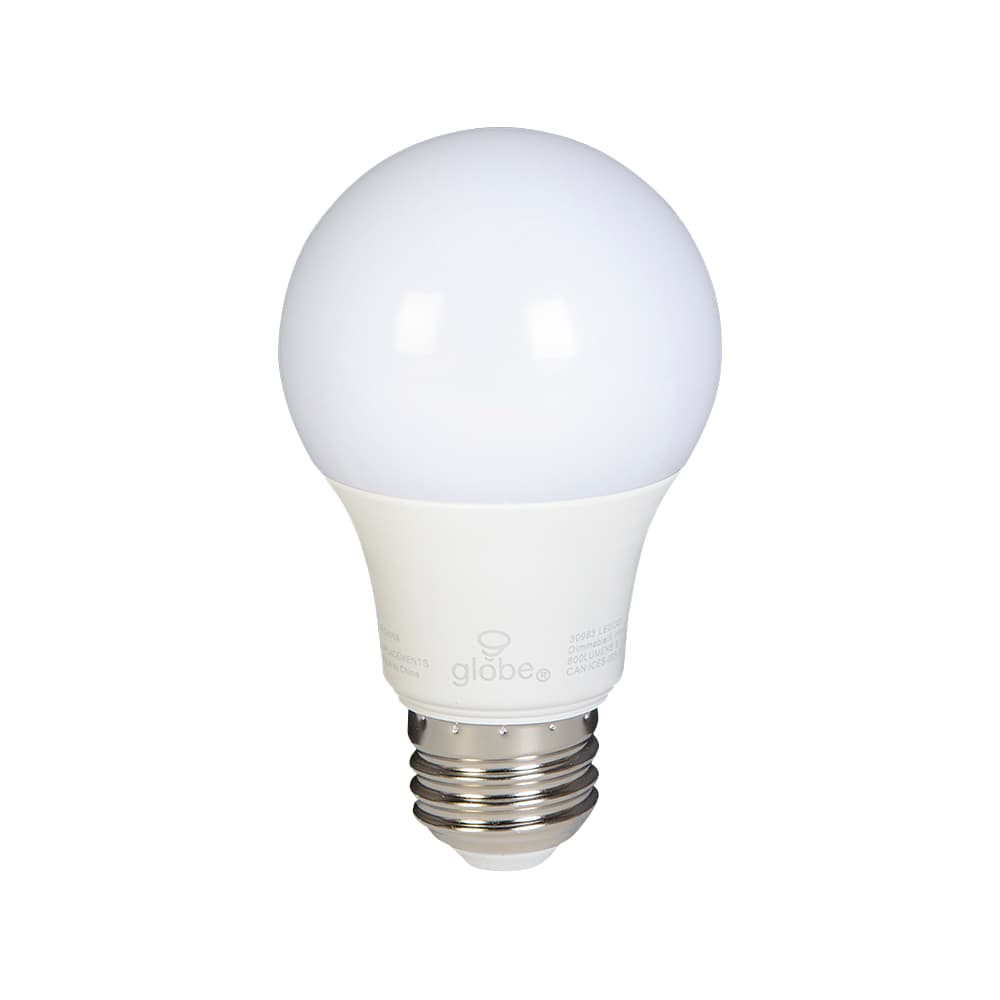 A19 Daylight LED Light Bulb 9 W