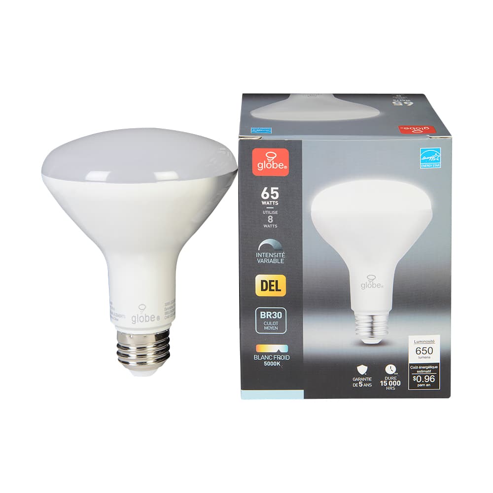 Ampoule-réflecteur DEL BR30, 8 W