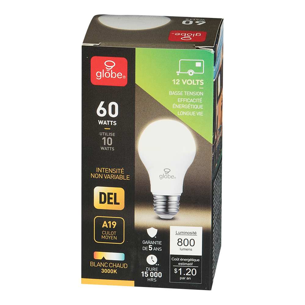 A19 Warm Light LED Light Bulb 10 W