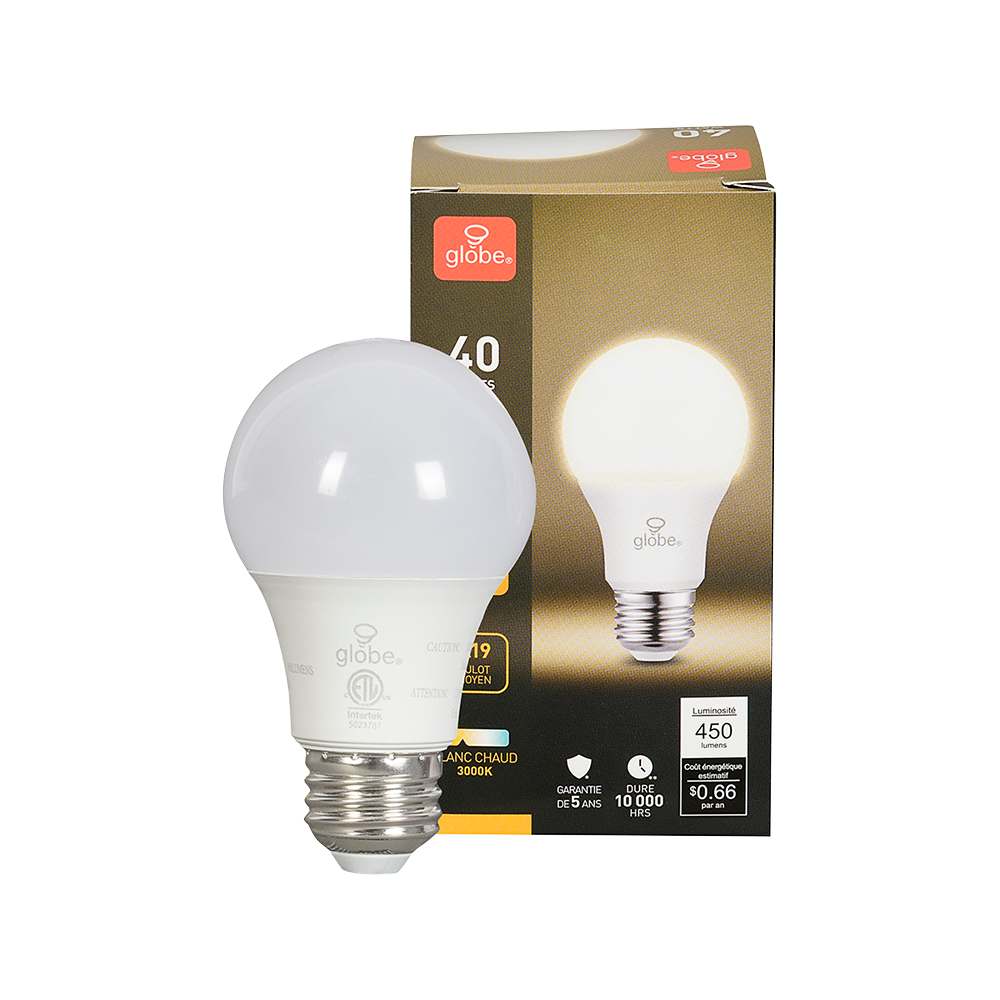 Ampoule DEL A19 blanc chaud 5,5 W