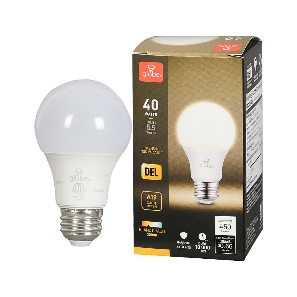 Ampoule DEL A19 à culot moyen blanc chaud 5,5 W
