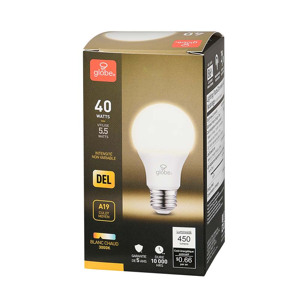 Ampoule DEL A19 blanc chaud 5,5 W