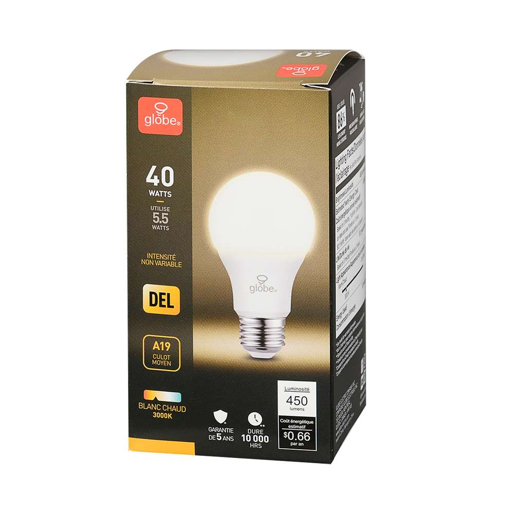 Ampoule DEL A19 à culot moyen blanc chaud 5,5 W