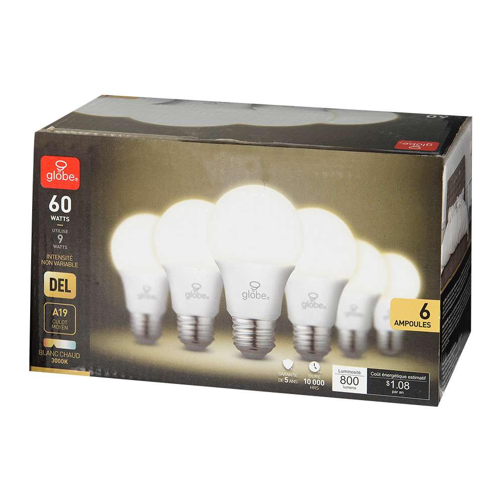 Ampoule DEL A19 blanc chaud 9 W Pqt/6