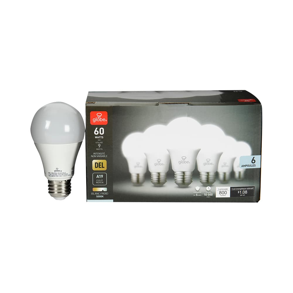 Ampoule DEL A19 lumière du jour 9 W Pqt/6