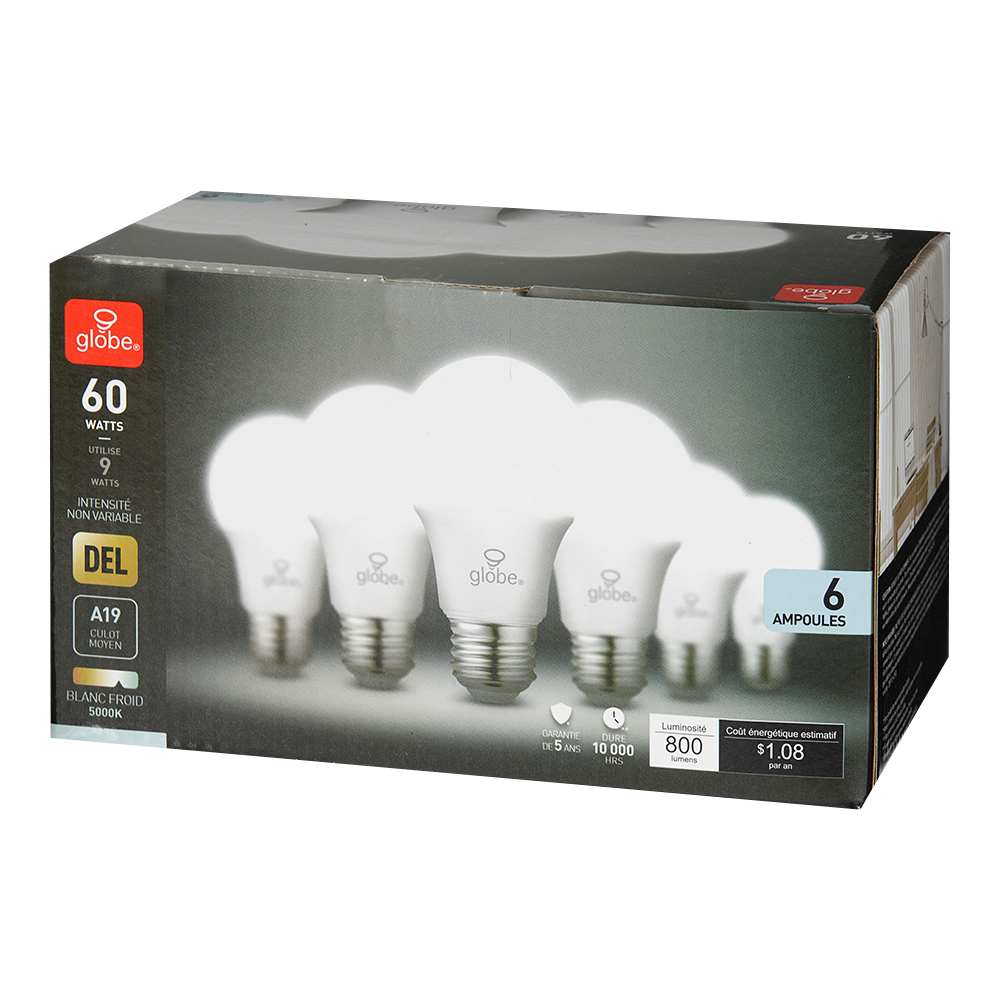 Ampoule DEL A19 lumière du jour 9 W Pqt/6