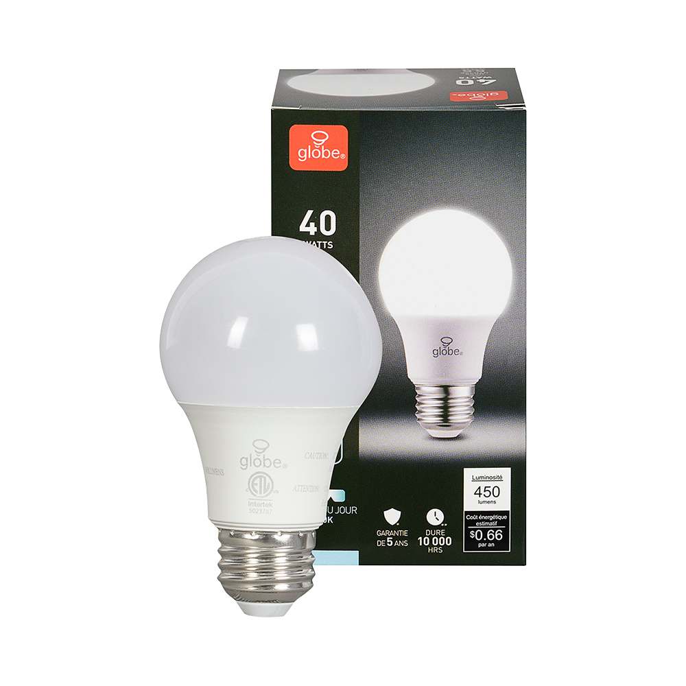 Ampoule DEL A19 blanc froid 5,5 W