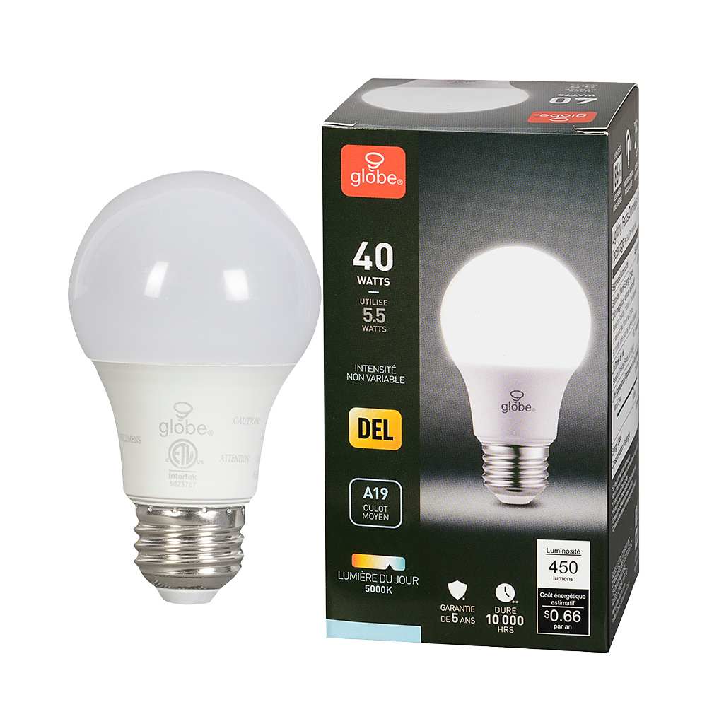 Ampoule DEL A19 à culot moyen blanc froid 5,5 W