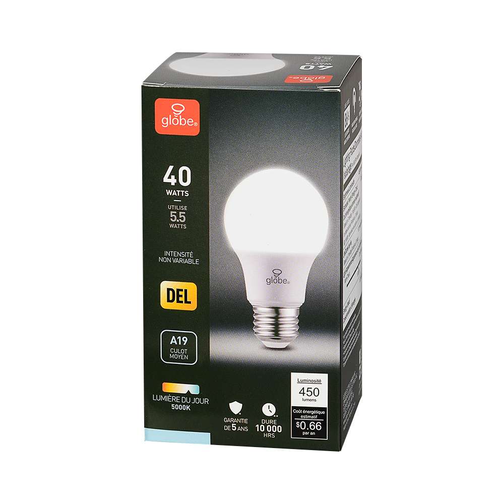 Ampoule DEL A19 blanc froid 5,5 W
