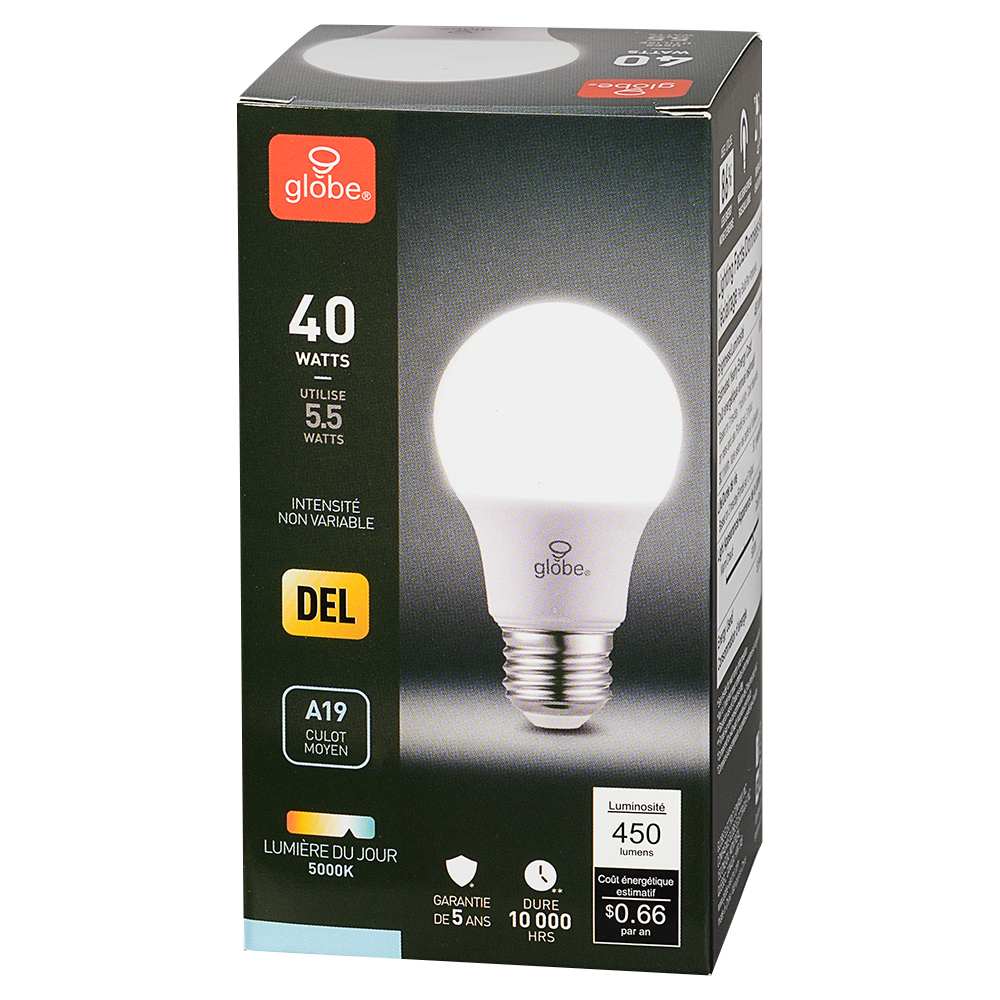 Ampoule DEL A19 à culot moyen blanc froid 5,5 W