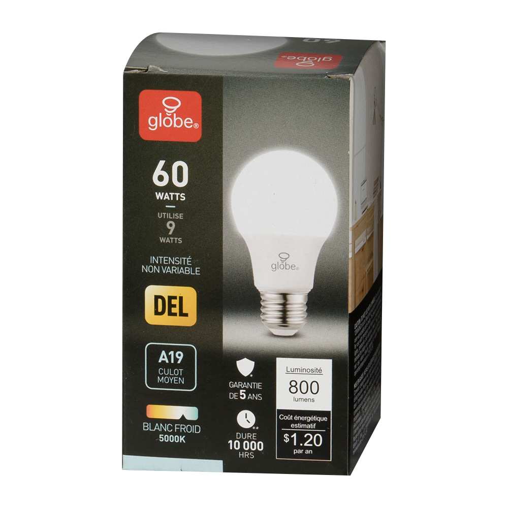 A19 Daylight LED Light Bulb 9 W