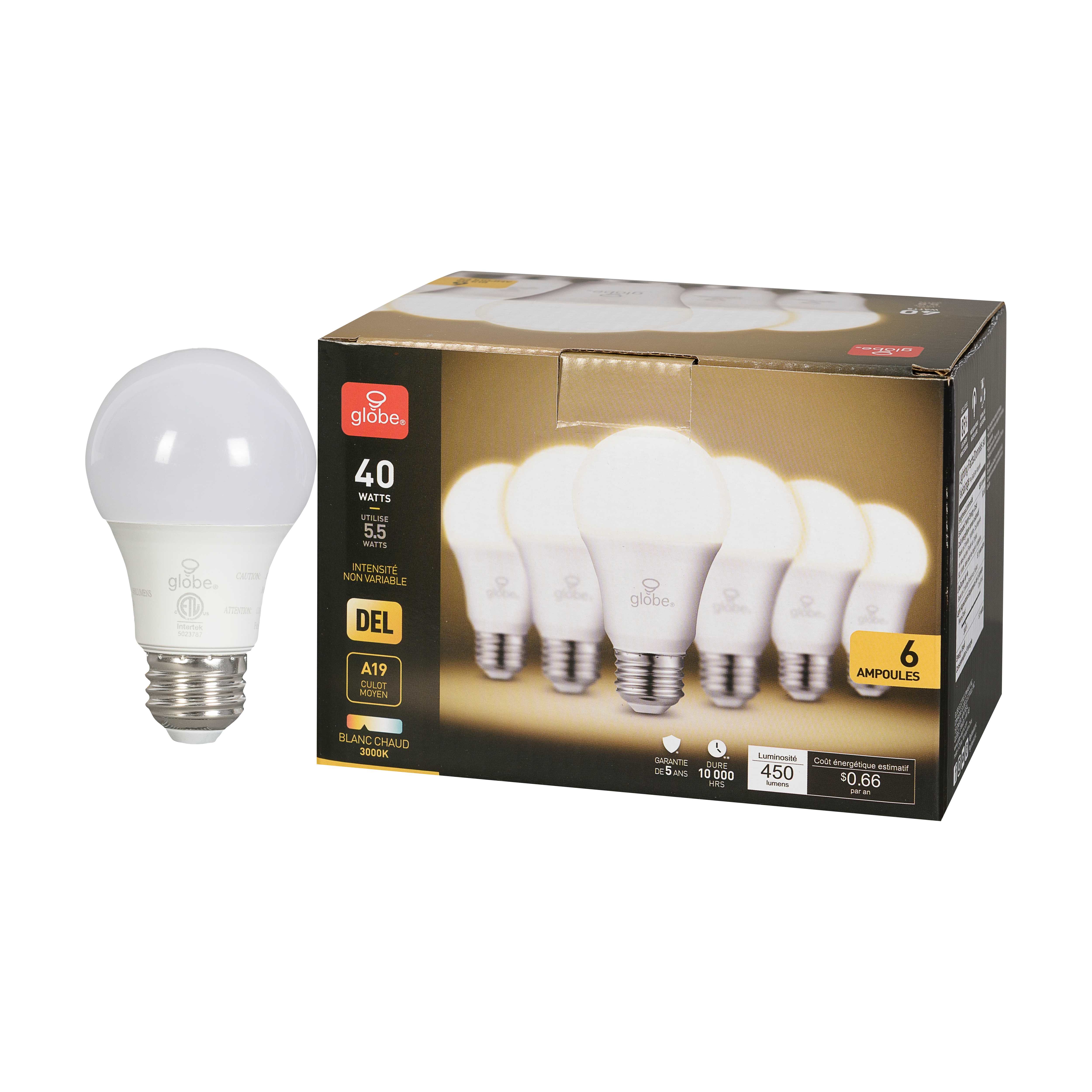 Ampoule DEL A19 à culot moyen blanc chaud 5,5 W Pqt/6
