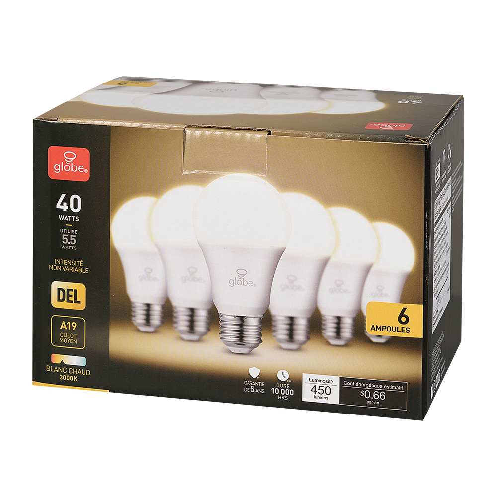 A19 Warm White LED Light Bulb 5.5 W Pkg/6