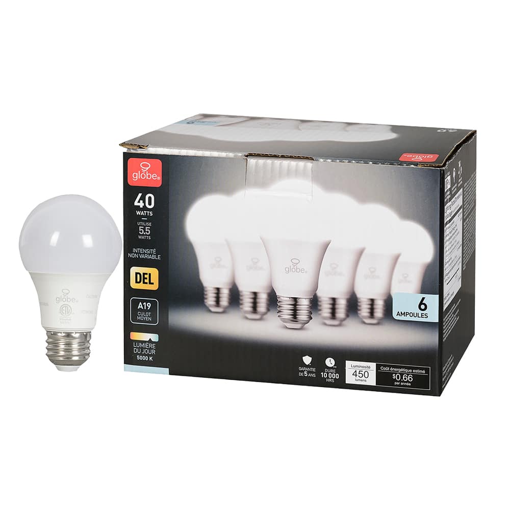 A19 Medium Base Daylight LED Light Bulbs 5.5 W Pkg/6