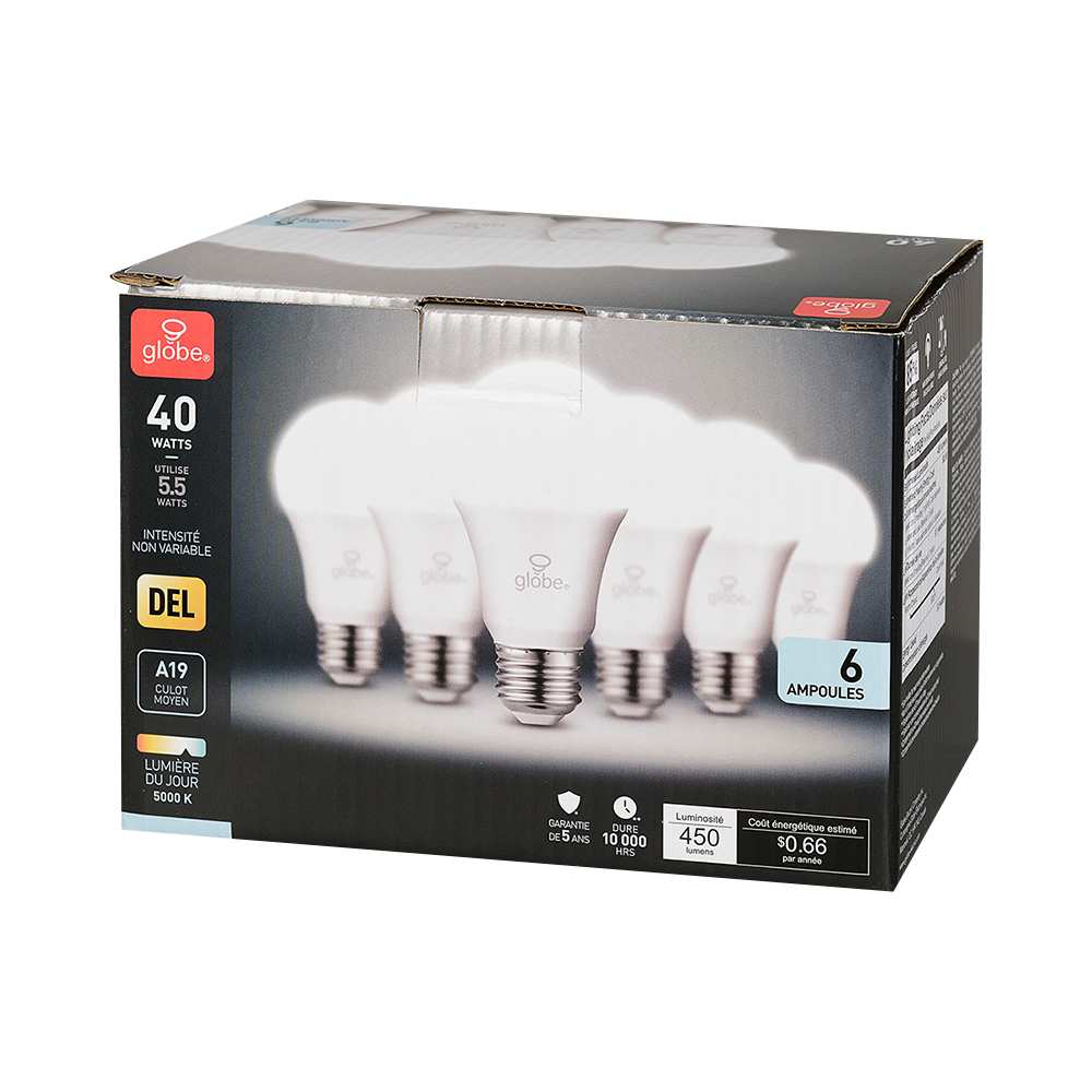 Ampoules DEL A19 blanc froid 5,5 W Pqt/6