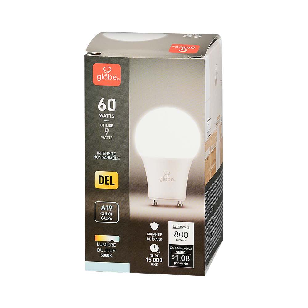 Ampoule DEL A19 blanc froid 9 W