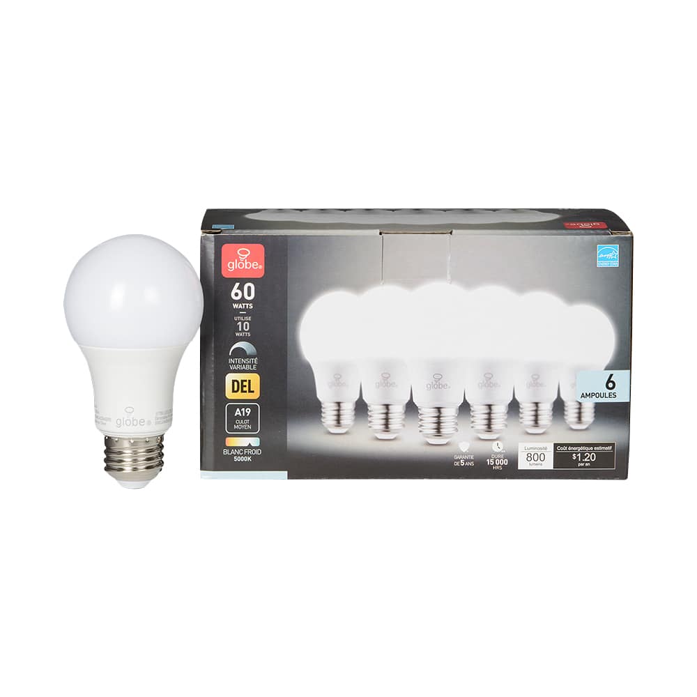 Ampoules DEL A19 blanc froid 10 W Pqt/6