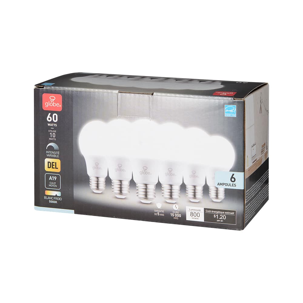Ampoules DEL A19 blanc froid 10 W Pqt/6