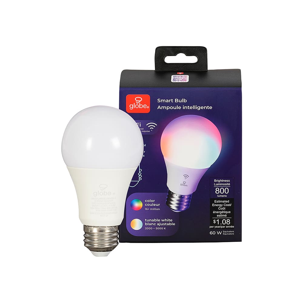 Ampoule intelligente DEL A19, 10 W