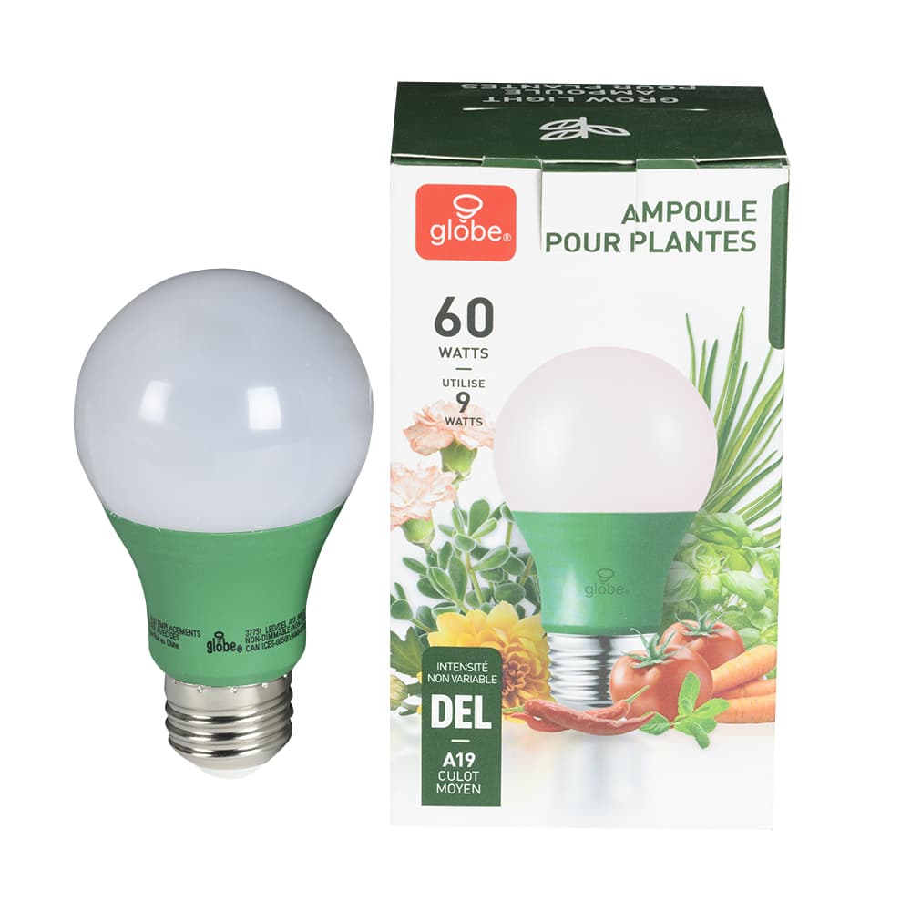 Ampoule DEL pour plantes A19, 9 W