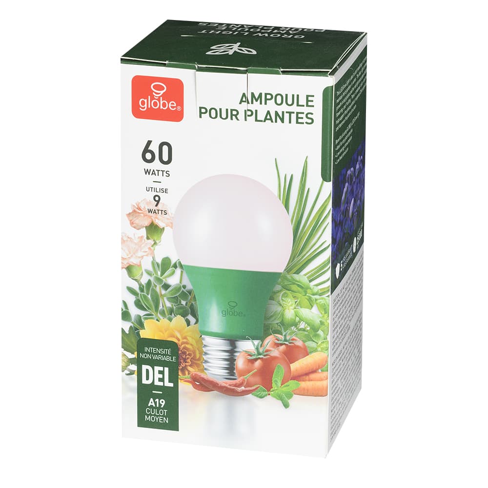 Ampoule DEL pour plantes A19, 9 W