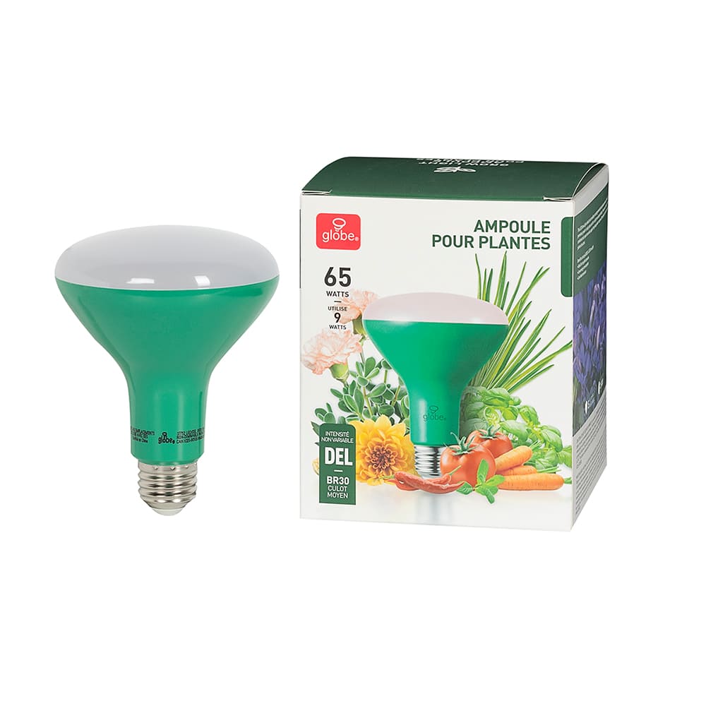 Ampoule-réflecteur DEL pour plantes BR30, 9 W