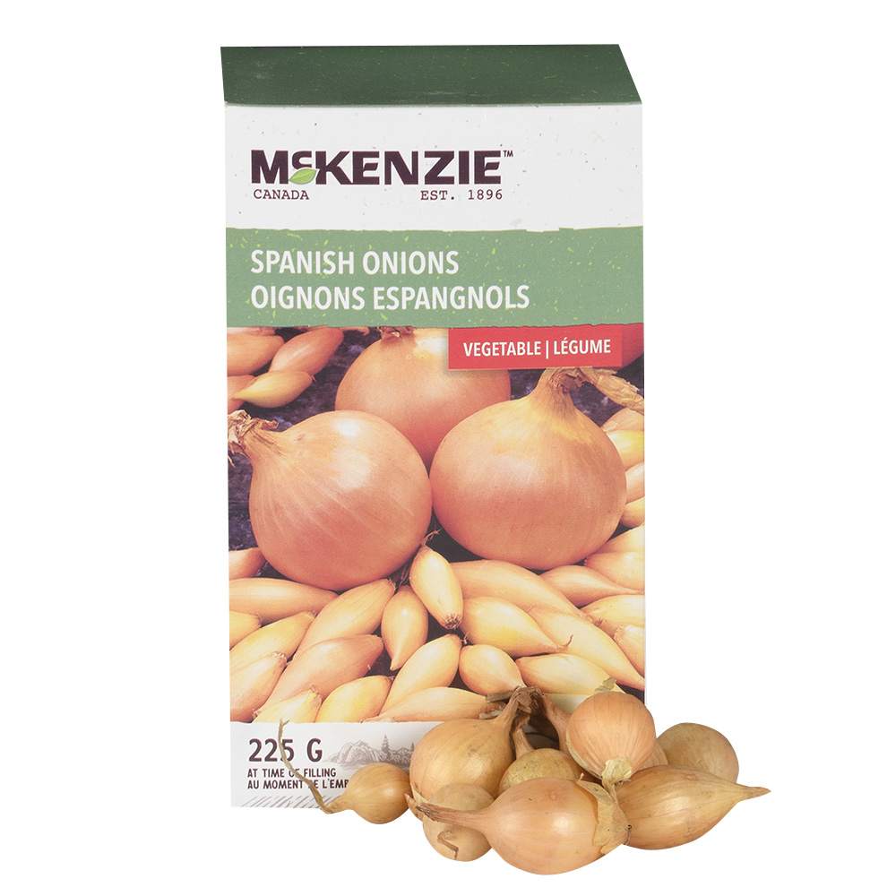 Spanish Onions Bulbs 225&nbsp;g