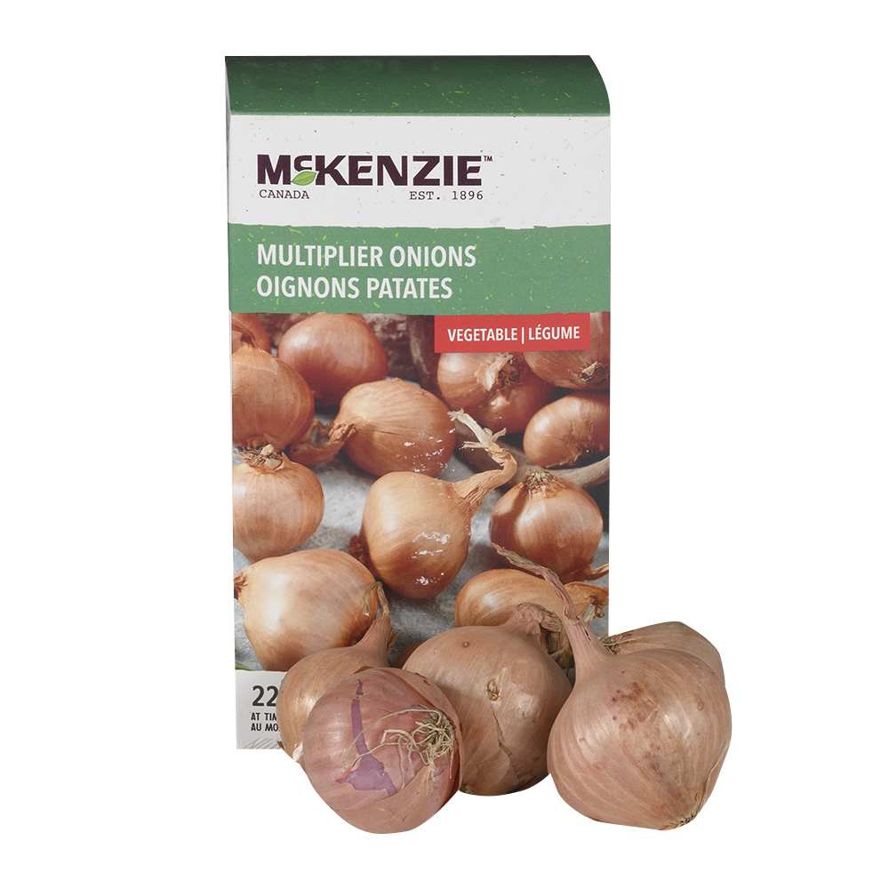Multiplier Onions 225&nbsp;g