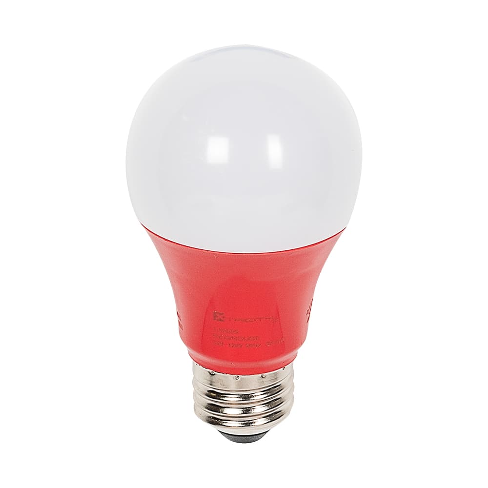 Ampoule DEL A19 rouge 6 W