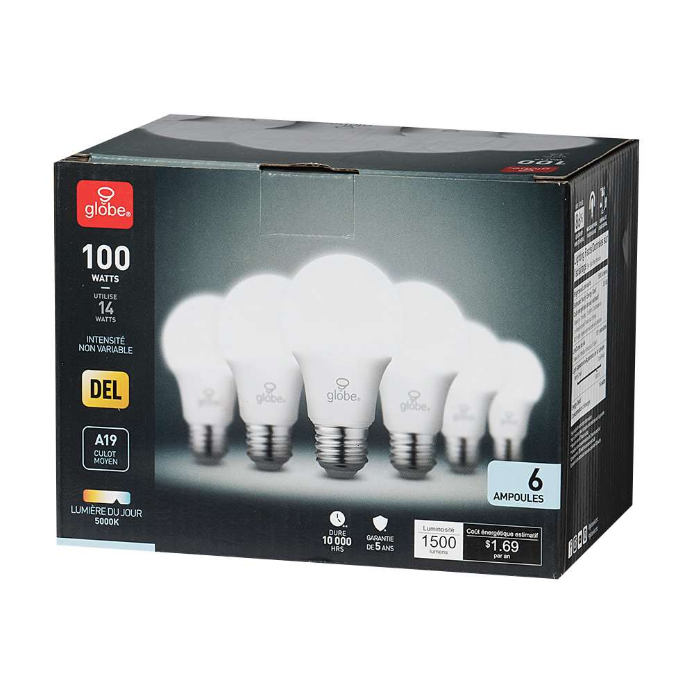 A19 LED Light Bulb Daylight 14 W Pkg/6