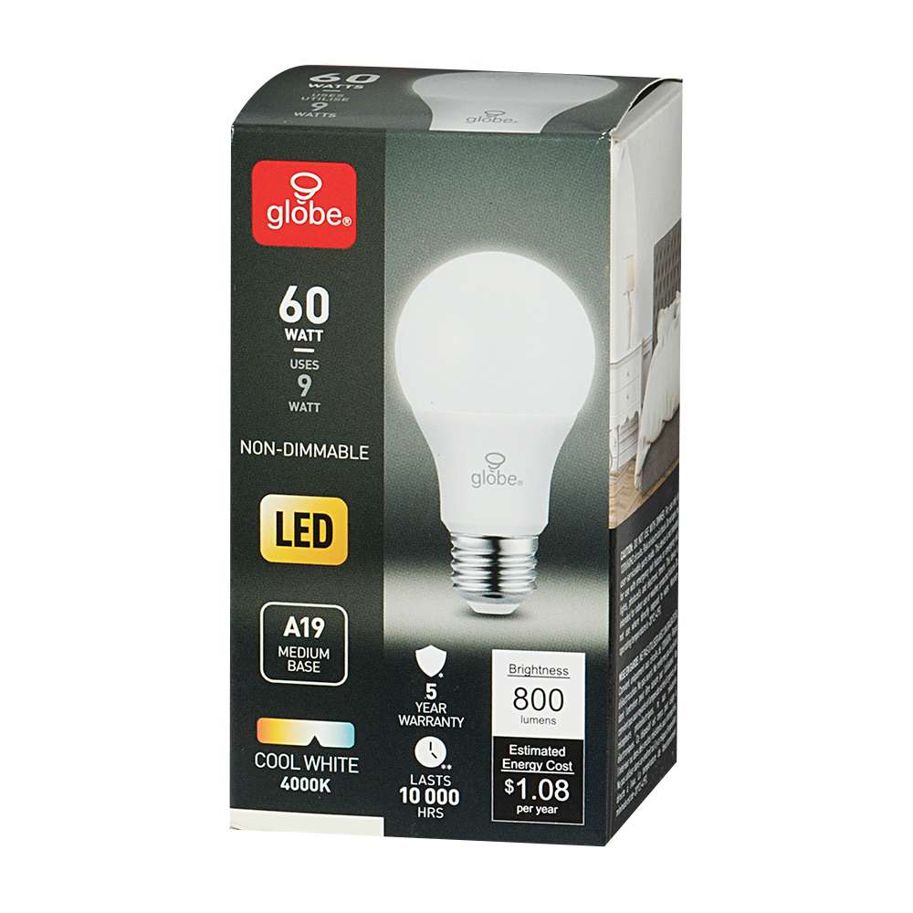 Ampoule DEL A19 blanc froid 9 W