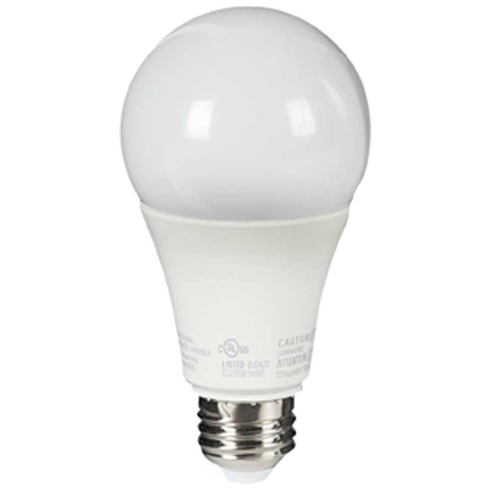 Ampoule DEL A21 lumière du jour 18,5&nbsp;W