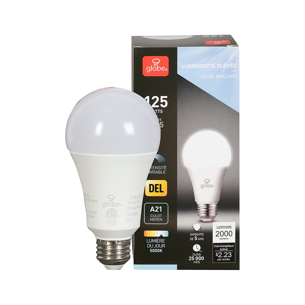 Ampoule DEL A21 lumière du jour 18,5&nbsp;W