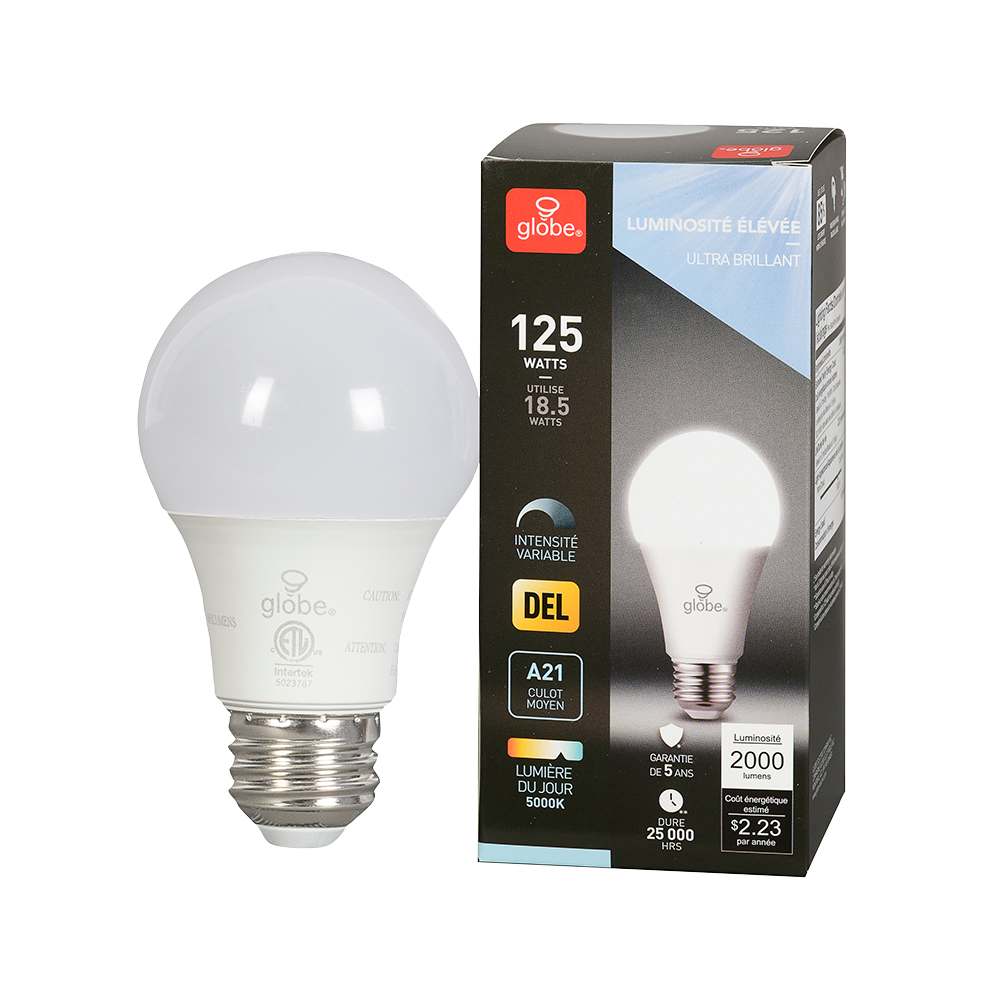 Ampoule DEL A21 à culot moyen lumière du jour 18,5&nbsp;W