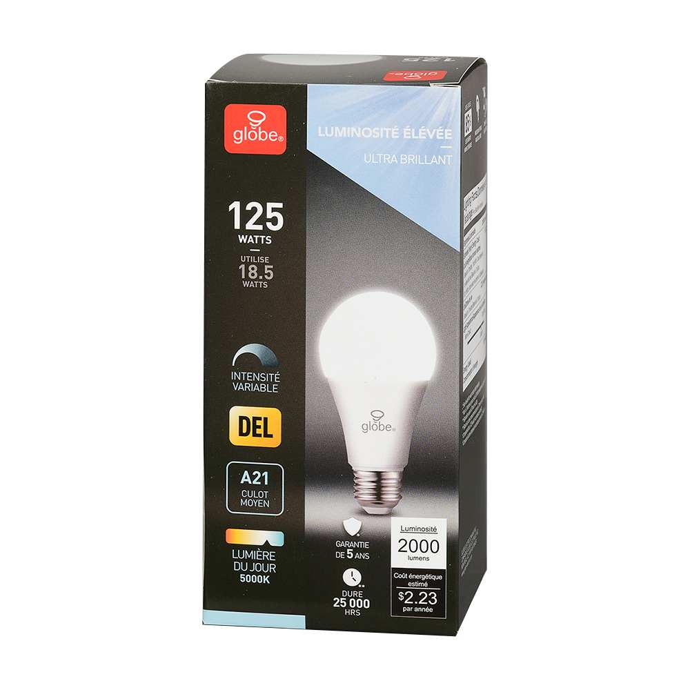 Ampoule DEL A21 lumière du jour 18,5&nbsp;W