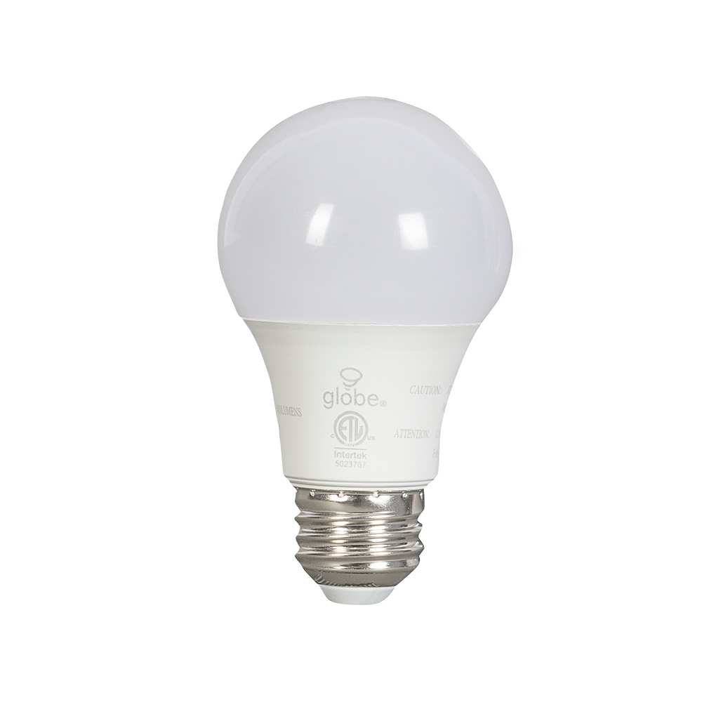 Ampoule DEL A21 à culot moyen lumière du jour 18,5&nbsp;W