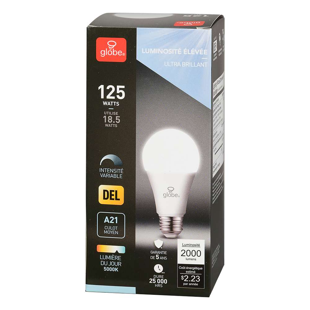 Ampoule DEL A21 à culot moyen lumière du jour 18,5&nbsp;W