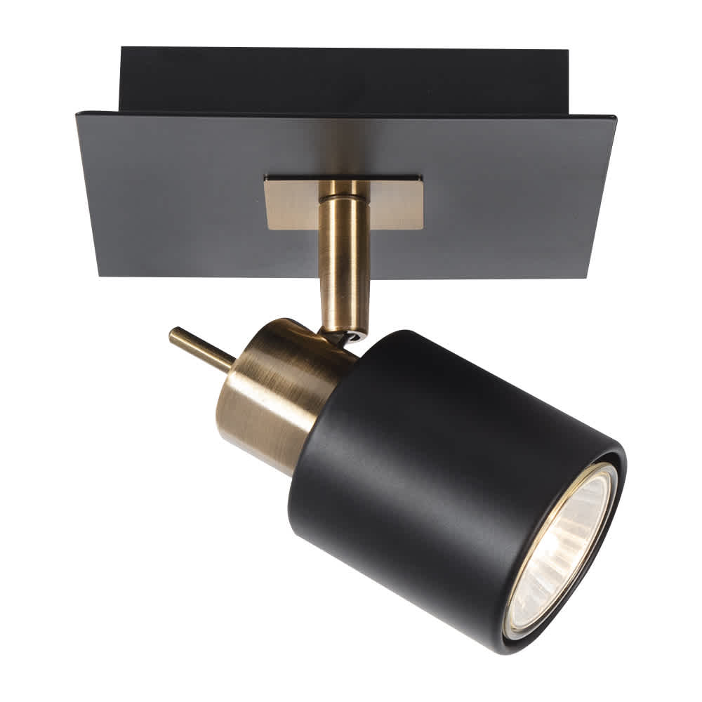 Obscur 1-Light Ceiling Mount