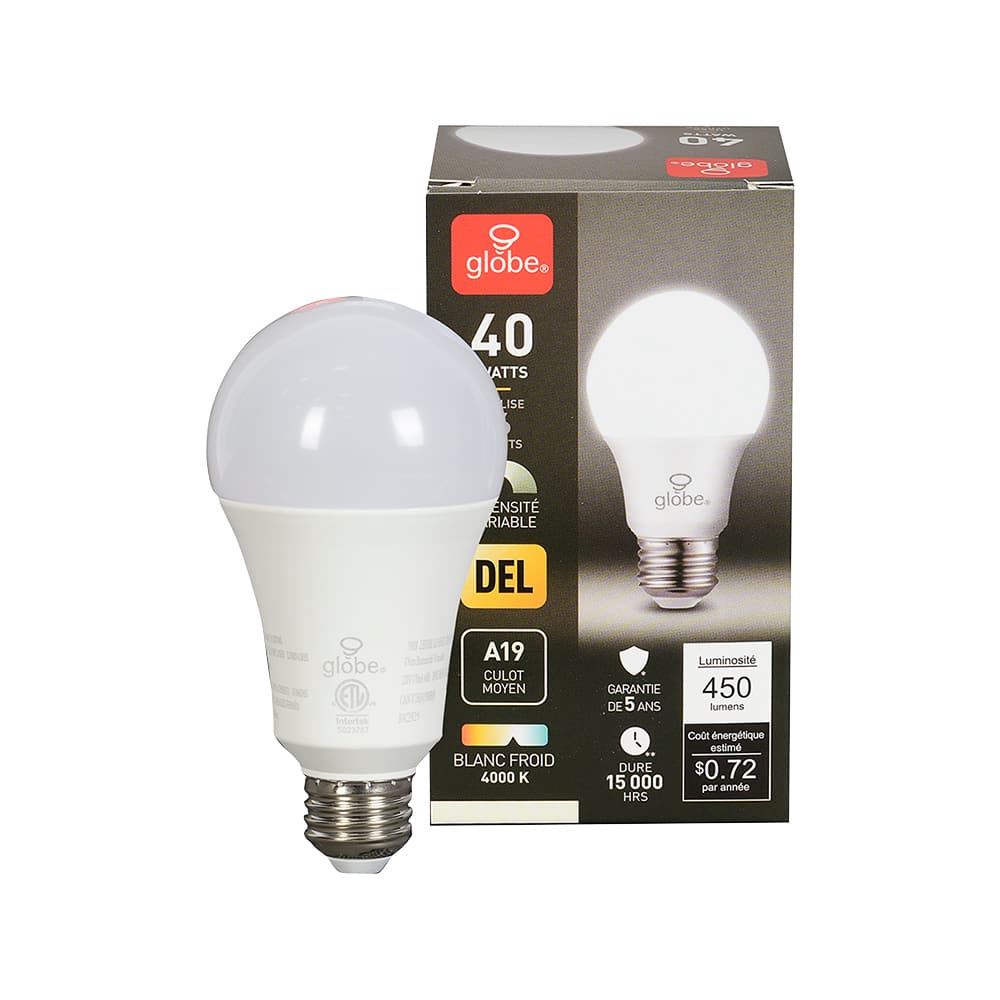 A19 LED Light Bulb Cool White 6 W