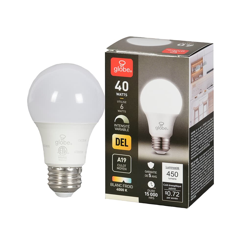 Ampoule DEL A19 à culot moyen blanc froid 6 W