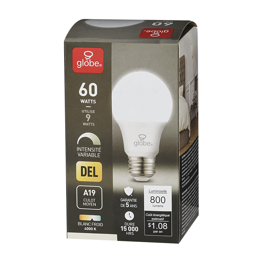 Ampoule DEL A19 blanc froid 9 W