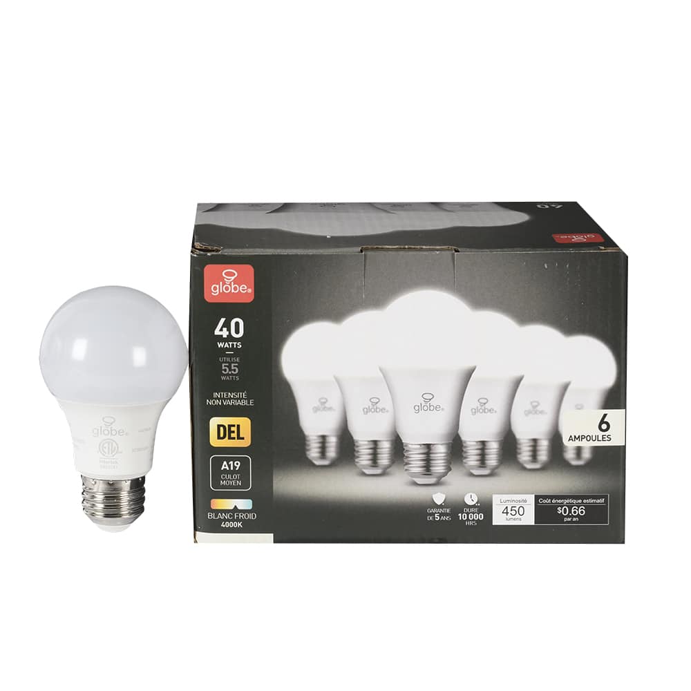 Ampoules DEL A19, 5,5 W blanc froid Pqt/6