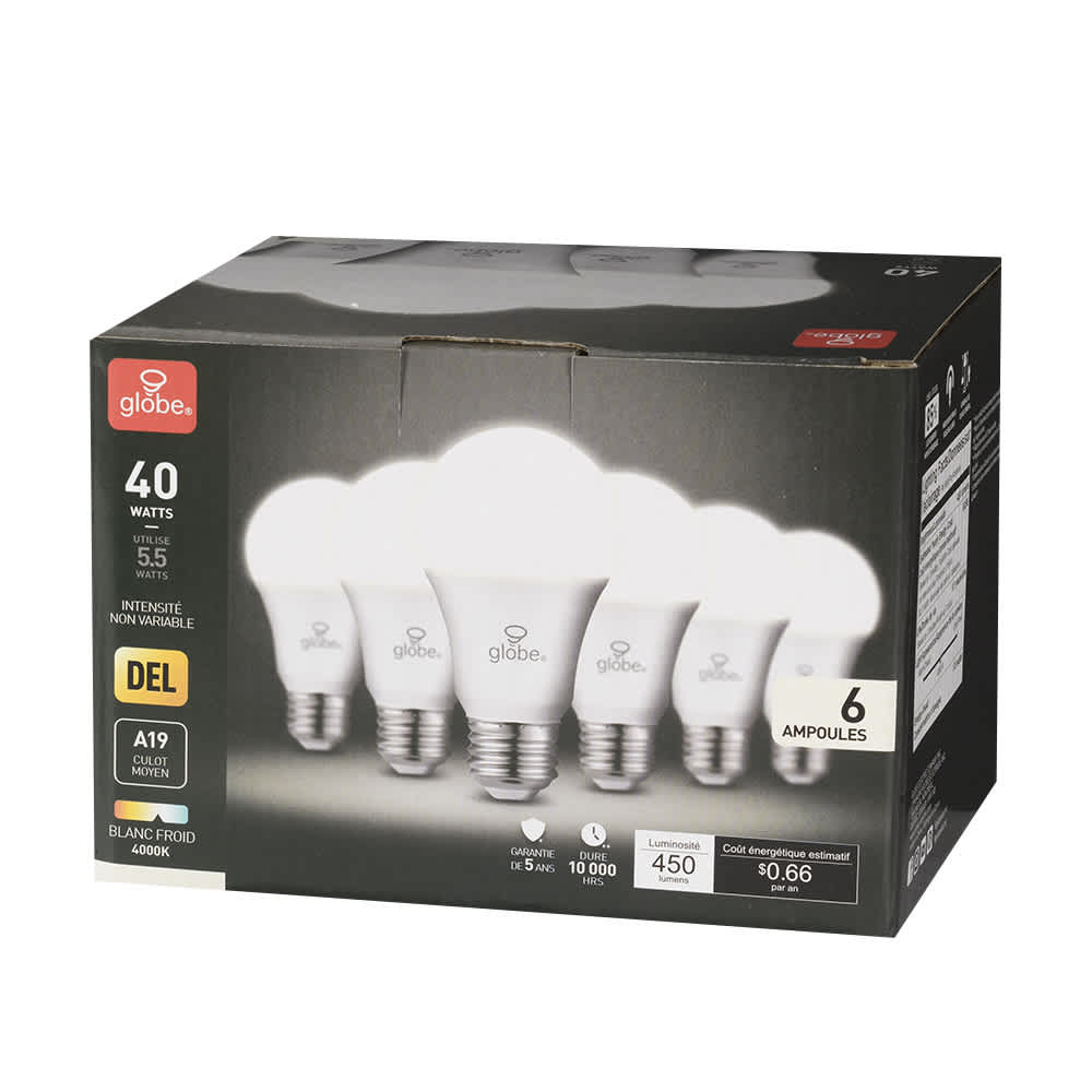 Ampoules DEL A19, 5,5 W blanc froid Pqt/6