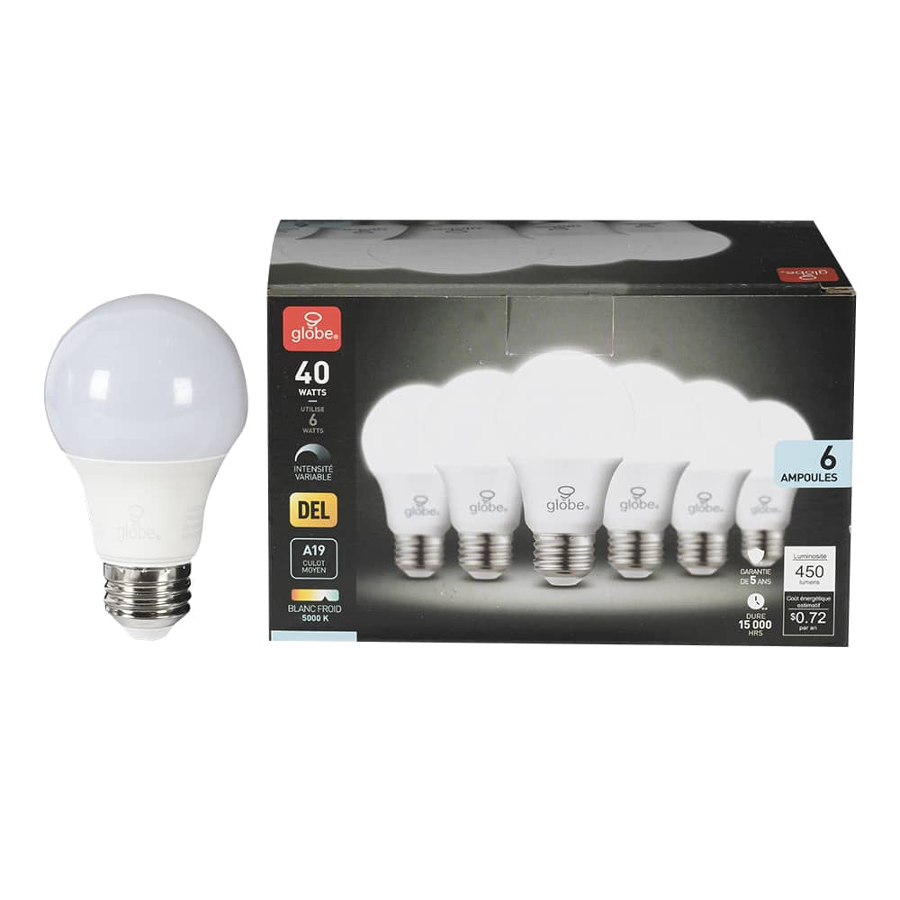 A19 LED Light Bulb 6 W Daylight