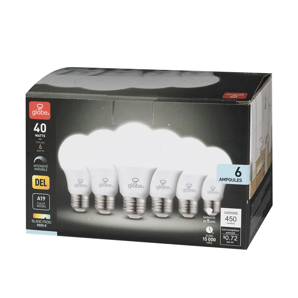 A19 LED Light Bulb 6 W Daylight