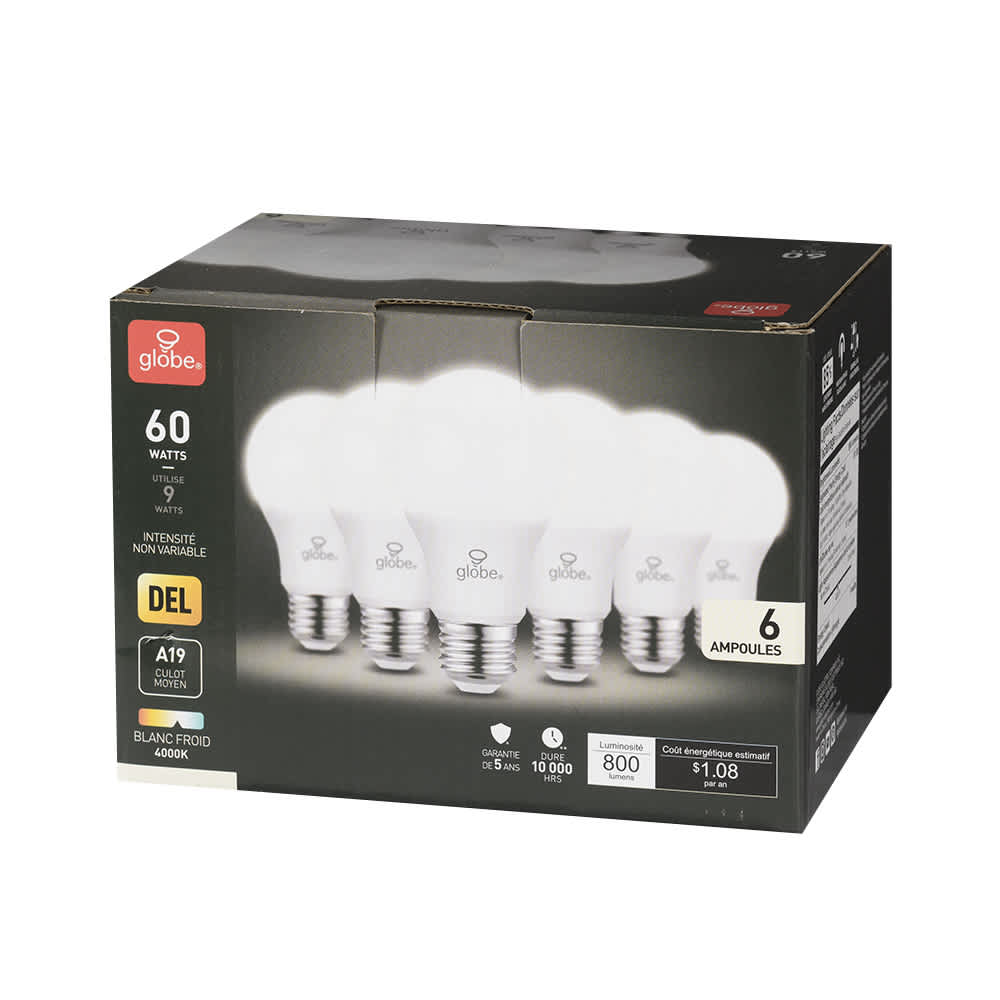 Ampoules DEL A19, 9 W blanc froid Pqt/6